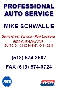 Professional Auto Service